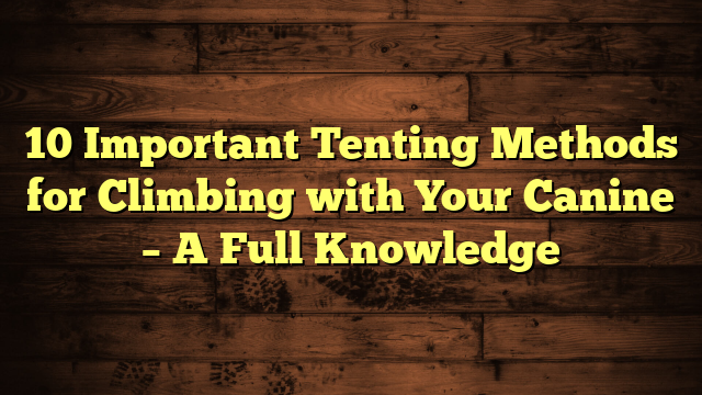 10 Important Tenting Methods for Climbing with Your Canine – A Full Knowledge