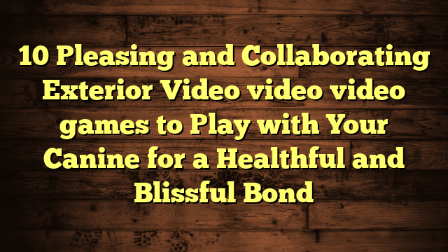 10 Pleasing and Collaborating Exterior Video video video games to Play with Your Canine for a Healthful and Blissful Bond