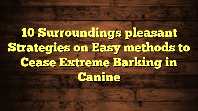 10 Surroundings pleasant Strategies on Easy methods to Cease Extreme Barking in Canine