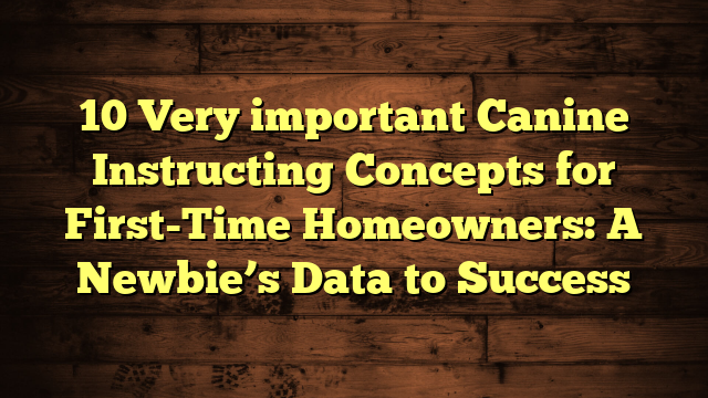 10 Very important Canine Instructing Concepts for First-Time Homeowners: A Newbie’s Data to Success