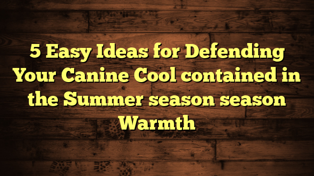 5 Easy Ideas for Defending Your Canine Cool contained in the Summer season season Warmth