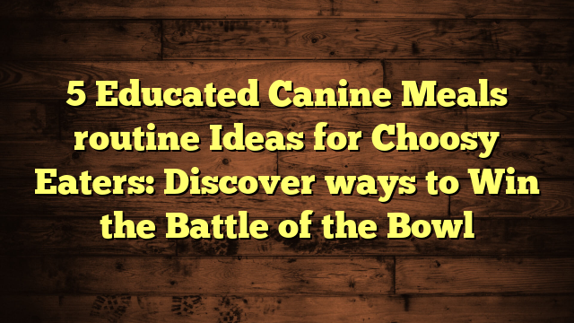 5 Educated Canine Meals routine Ideas for Choosy Eaters: Discover ways to Win the Battle of the Bowl