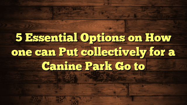 5 Essential Options on How one can Put collectively for a Canine Park Go to