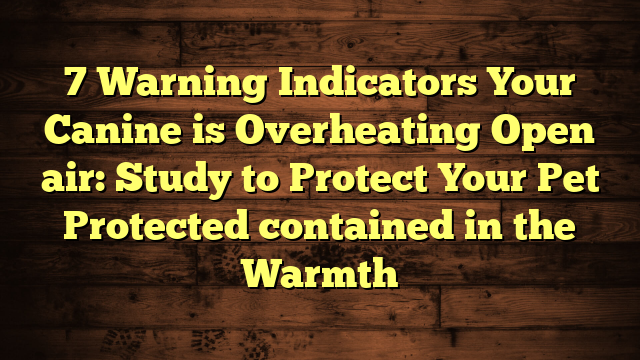 7 Warning Indicators Your Canine is Overheating Open air: Study to Protect Your Pet Protected contained in the Warmth