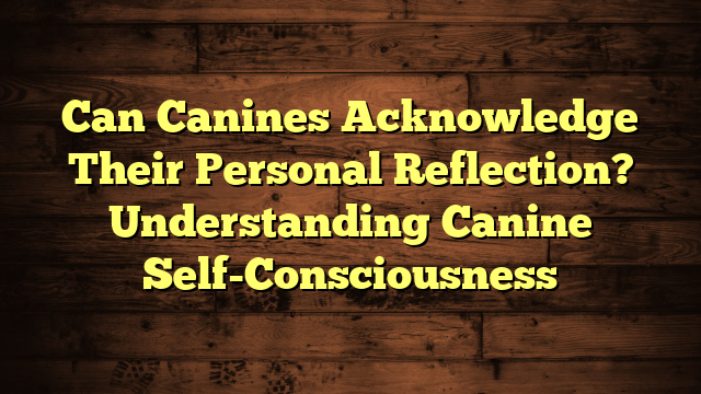 Can Canines Acknowledge Their Personal Reflection? Understanding Canine Self-Consciousness