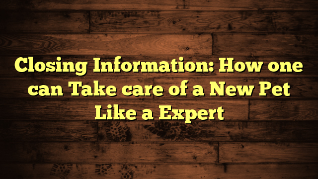 Closing Information: How one can Take care of a New Pet Like a Expert