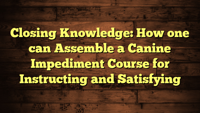 Closing Knowledge: How one can Assemble a Canine Impediment Course for Instructing and Satisfying