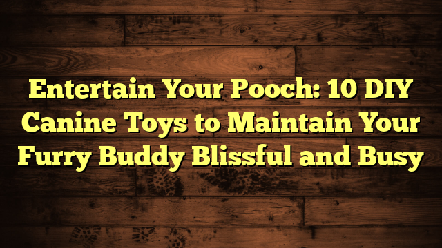 Entertain Your Pooch: 10 DIY Canine Toys to Maintain Your Furry Buddy Blissful and Busy