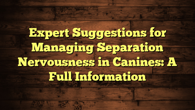 Expert Suggestions for Managing Separation Nervousness in Canines: A Full Information