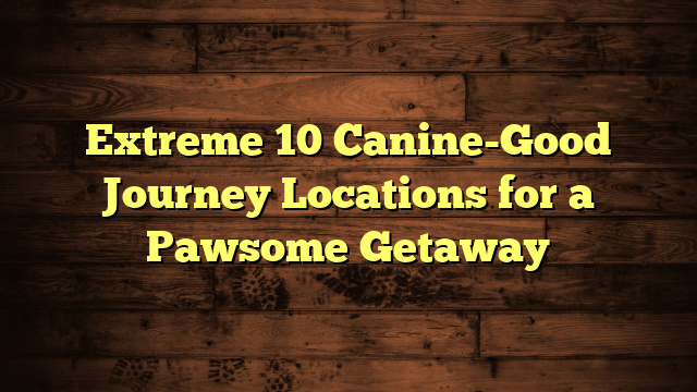 Extreme 10 Canine-Good Journey Locations for a Pawsome Getaway