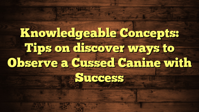 Knowledgeable Concepts: Tips on discover ways to Observe a Cussed Canine with Success