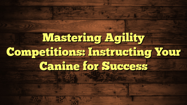 Mastering Agility Competitions: Instructing Your Canine for Success