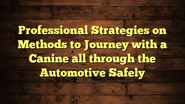 Professional Strategies on Methods to Journey with a Canine all through the Automotive Safely