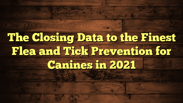 The Closing Data to the Finest Flea and Tick Prevention for Canines in 2021