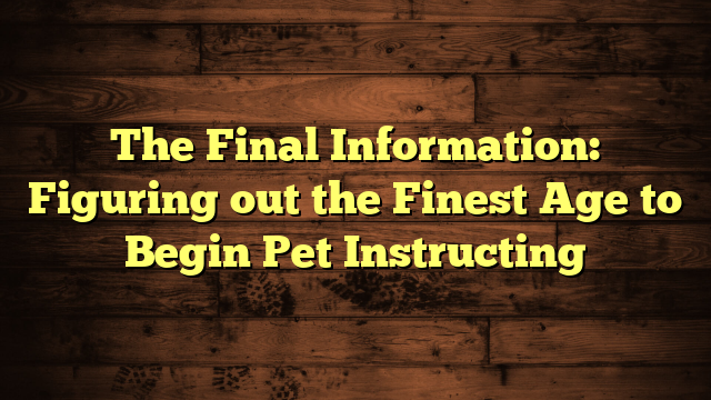 The Final Information: Figuring out the Finest Age to Begin Pet Instructing