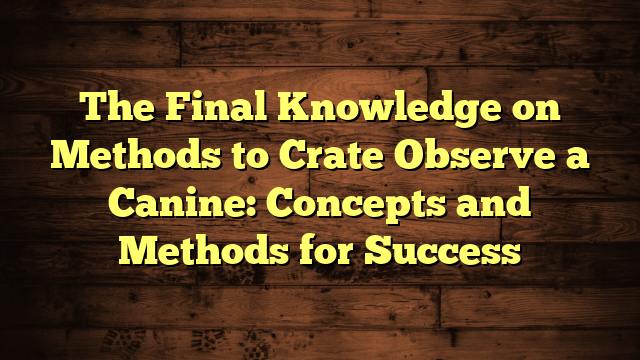 The Final Knowledge on Methods to Crate Observe a Canine: Concepts and Methods for Success