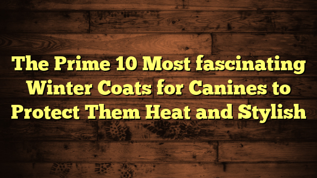 The Prime 10 Most fascinating Winter Coats for Canines to Protect Them Heat and Stylish