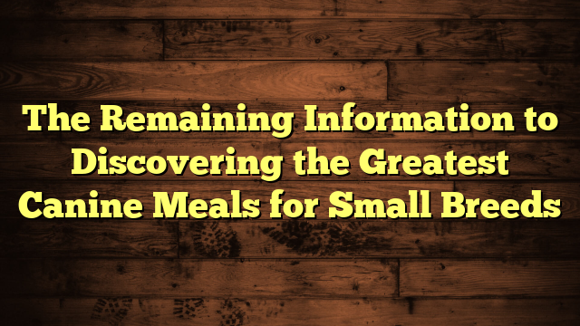 The Remaining Information to Discovering the Greatest Canine Meals for Small Breeds