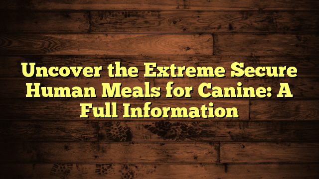 Uncover the Extreme Secure Human Meals for Canine: A Full Information