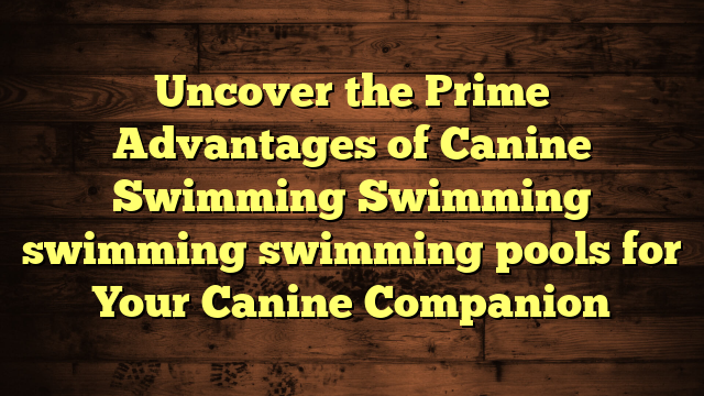 Uncover the Prime Advantages of Canine Swimming Swimming swimming swimming pools for Your Canine Companion