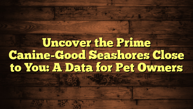 Uncover the Prime Canine-Good Seashores Close to You: A Data for Pet Owners