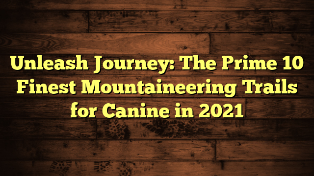 Unleash Journey: The Prime 10 Finest Mountaineering Trails for Canine in 2021